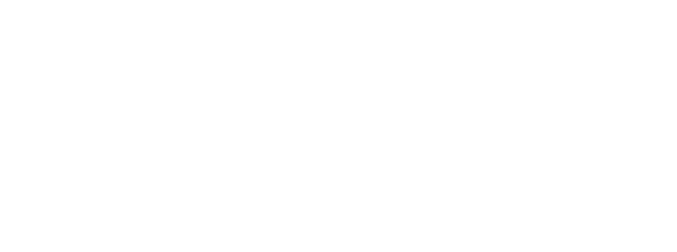 C3S Business school logo white